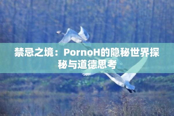 禁忌之境：PornoH的隐秘世界探秘与道德思考