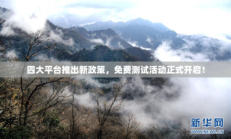 四大平台推出新政策，免费测试活动正式开启！