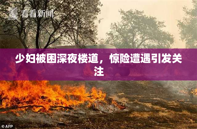 少妇被困深夜楼道，惊险遭遇引发关注