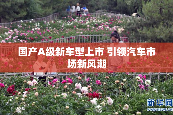国产A级新车型上市 引领汽车市场新风潮