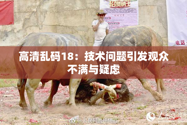 高清乱码18：技术问题引发观众不满与疑虑