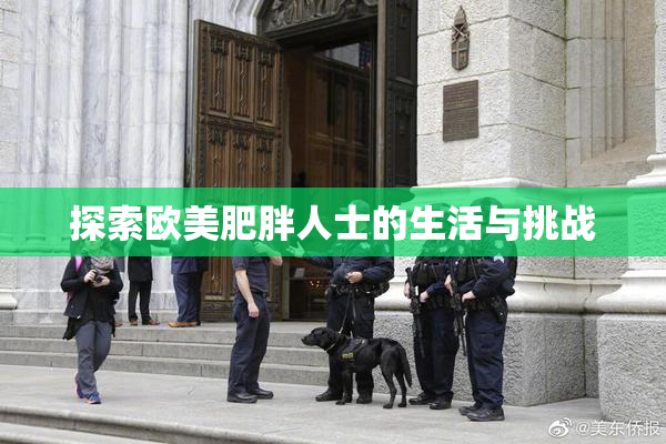 探索欧美肥胖人士的生活与挑战