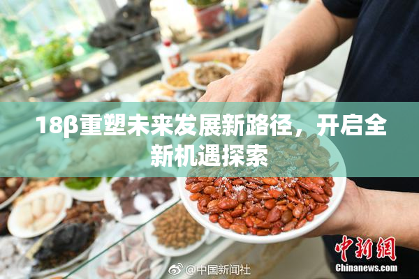 18β重塑未来发展新路径，开启全新机遇探索