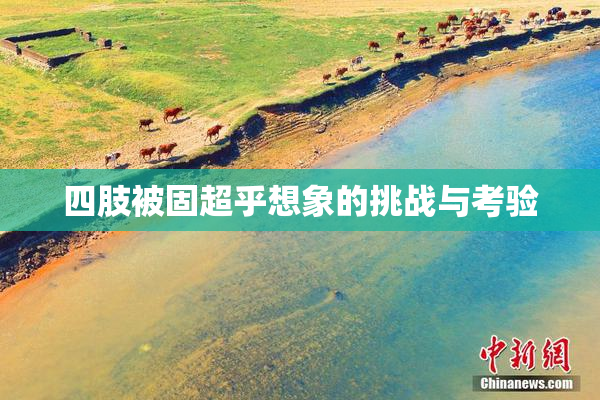 四肢被固超乎想象的挑战与考验
