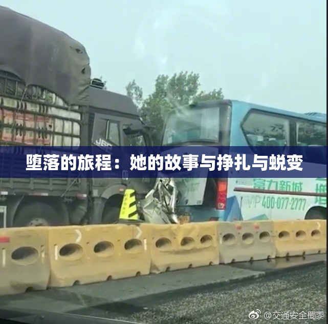 堕落的旅程：她的故事与挣扎与蜕变