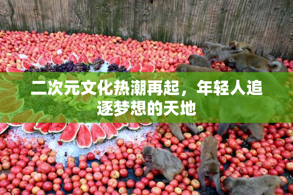 二次元文化热潮再起，年轻人追逐梦想的天地