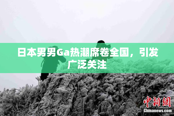 日本男男Ga热潮席卷全国，引发广泛关注