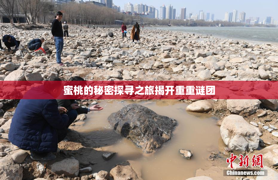 蜜桃的秘密探寻之旅揭开重重谜团