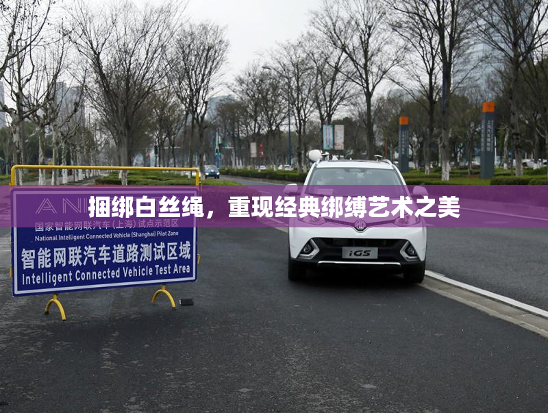 捆绑白丝绳，重现经典绑缚艺术之美