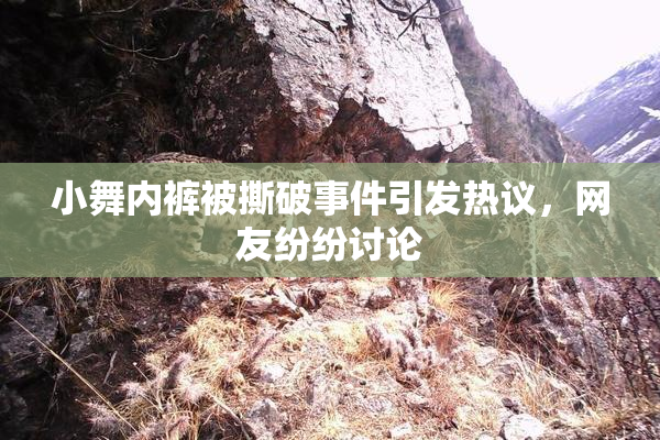 小舞内裤被撕破事件引发热议，网友纷纷讨论