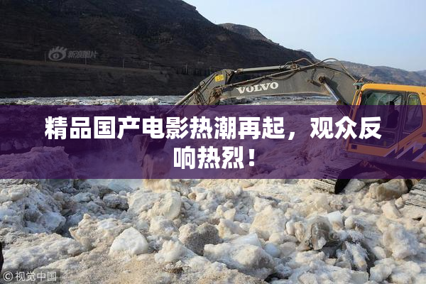精品国产电影热潮再起，观众反响热烈！