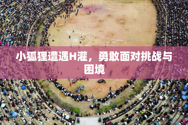 小狐狸遭遇H灌，勇敢面对挑战与困境