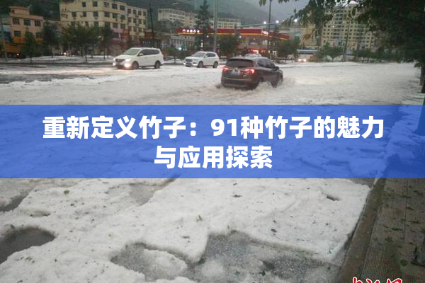 重新定义竹子：91种竹子的魅力与应用探索