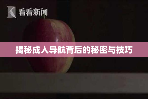 揭秘成人导航背后的秘密与技巧