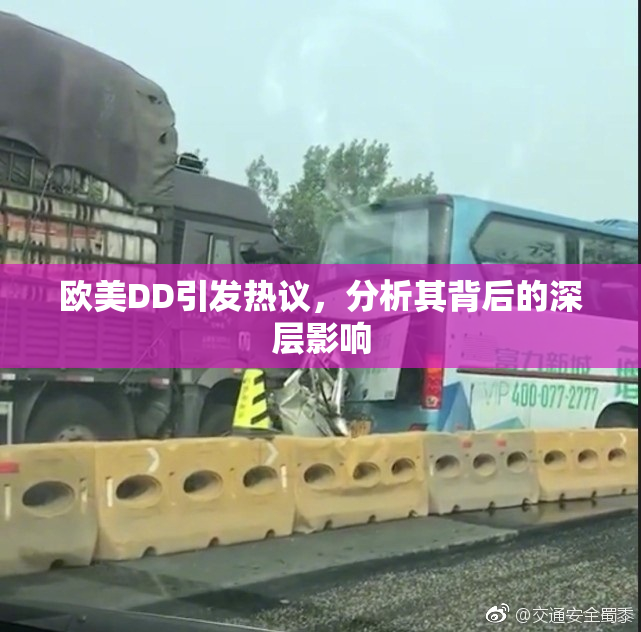 欧美DD引发热议，分析其背后的深层影响