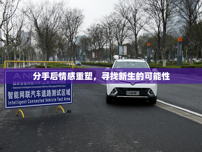 分手后情感重塑，寻找新生的可能性