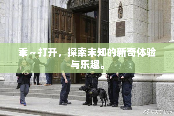 乖～打开，探索未知的新奇体验与乐趣。