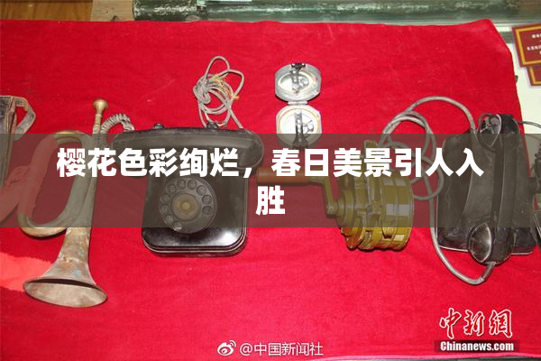 樱花色彩绚烂，春日美景引人入胜