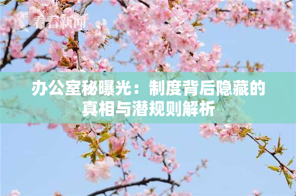 办公室秘曝光：制度背后隐藏的真相与潜规则解析