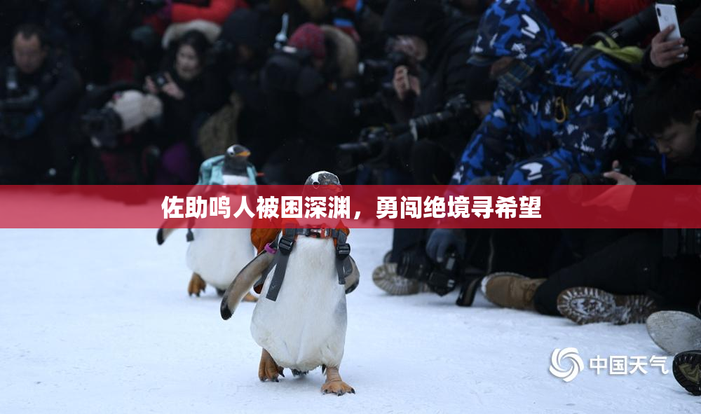 佐助鸣人被困深渊，勇闯绝境寻希望