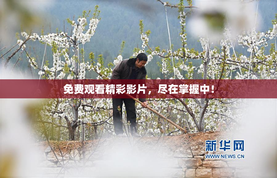 免费观看精彩影片，尽在掌握中！
