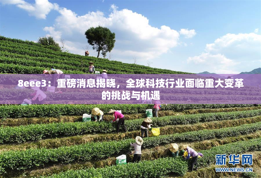 8eee3：重磅消息揭晓，全球科技行业面临重大变革的挑战与机遇