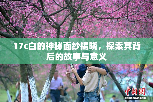 17c白的神秘面纱揭晓，探索其背后的故事与意义