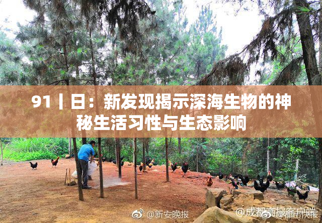 91丨日：新发现揭示深海生物的神秘生活习性与生态影响