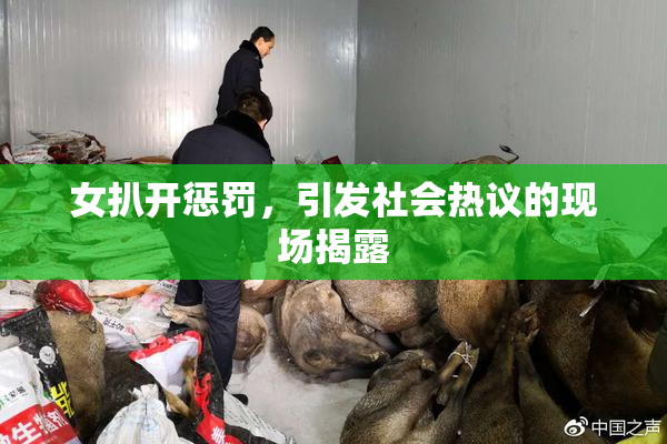 女扒开惩罚，引发社会热议的现场揭露