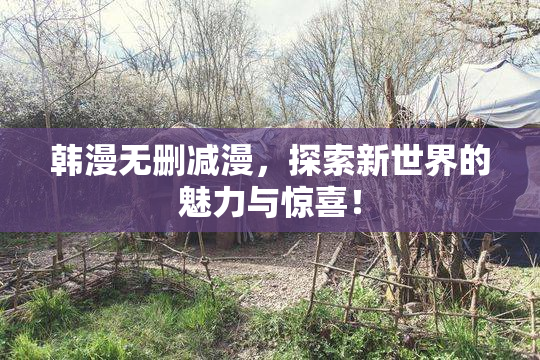 韩漫无删减漫，探索新世界的魅力与惊喜！