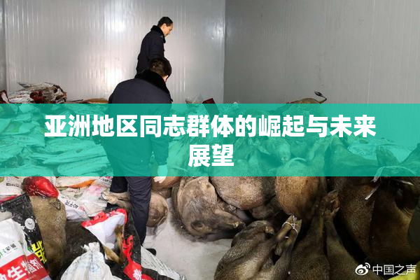 亚洲地区同志群体的崛起与未来展望