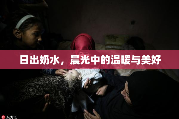 日出奶水，晨光中的温暖与美好