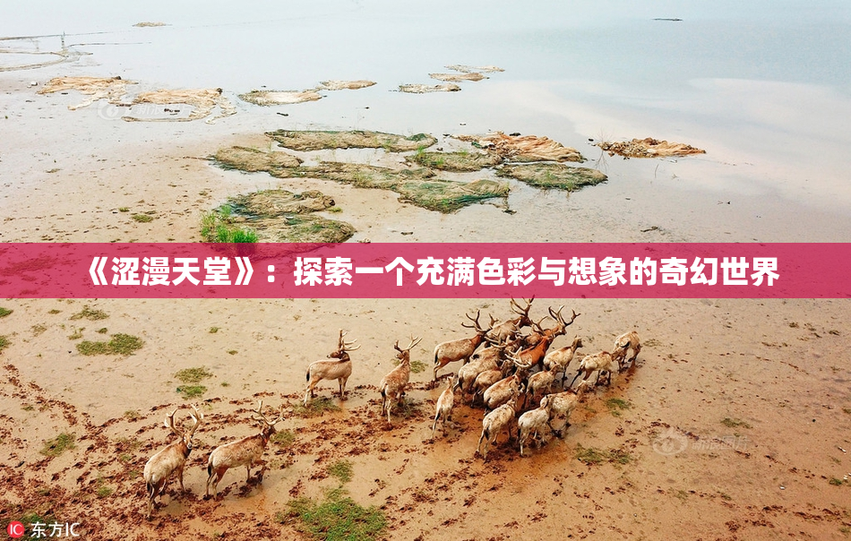 《涩漫天堂》：探索一个充满色彩与想象的奇幻世界