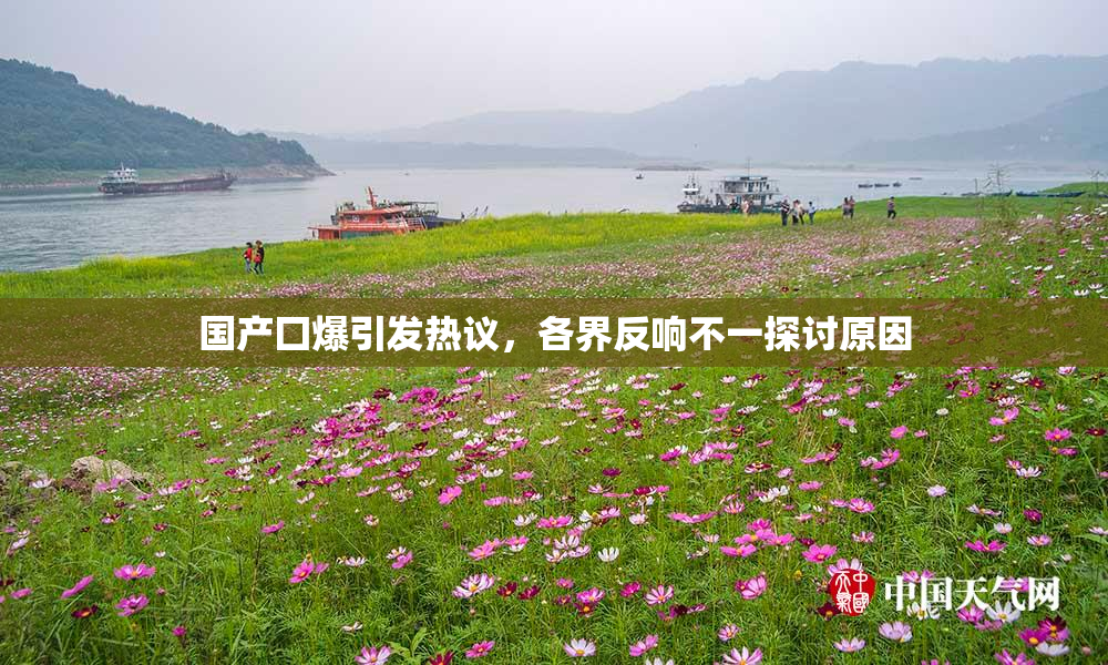国产囗爆引发热议，各界反响不一探讨原因