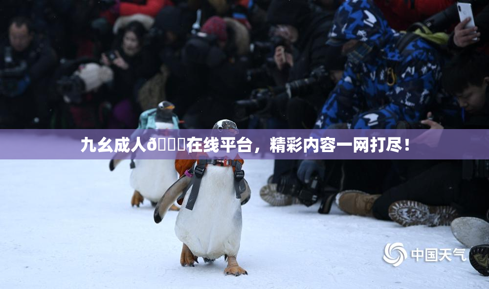 九幺成人🔞在线平台，精彩内容一网打尽！