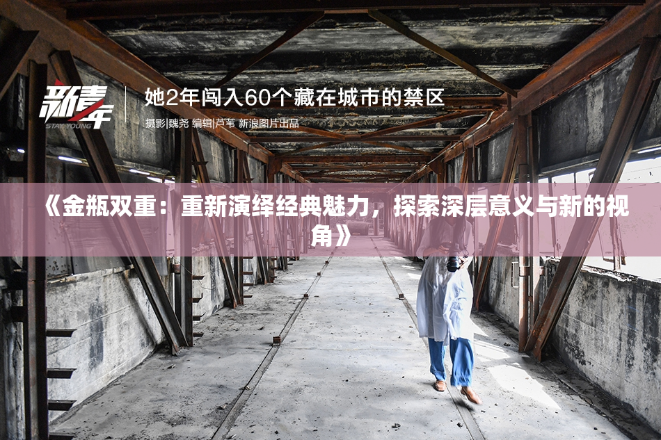 《金瓶双重：重新演绎经典魅力，探索深层意义与新的视角》