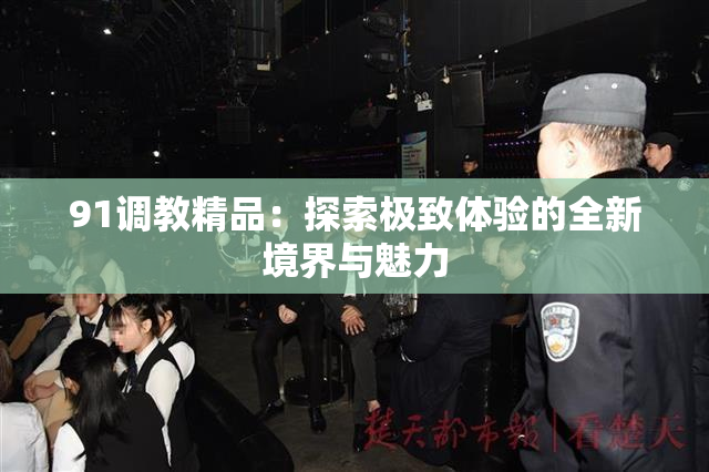 91调教精品：探索极致体验的全新境界与魅力