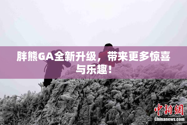 胖熊GA全新升级，带来更多惊喜与乐趣！