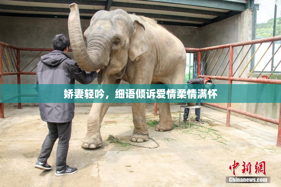 娇妻轻吟，细语倾诉爱情柔情满怀