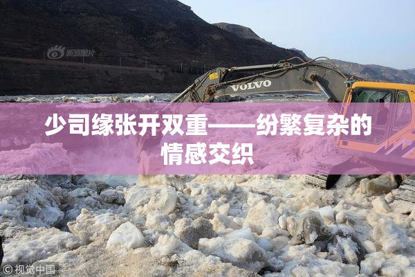 少司缘张开双重——纷繁复杂的情感交织