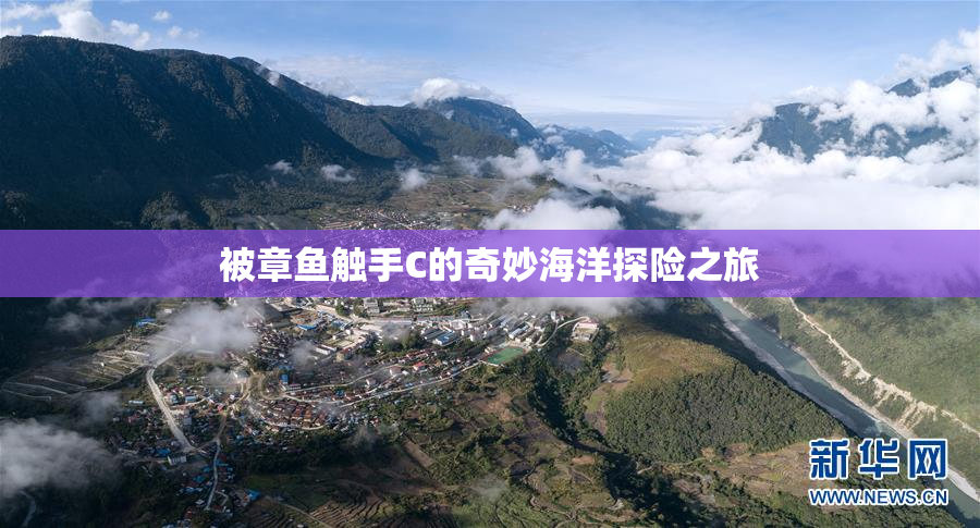 被章鱼触手C的奇妙海洋探险之旅