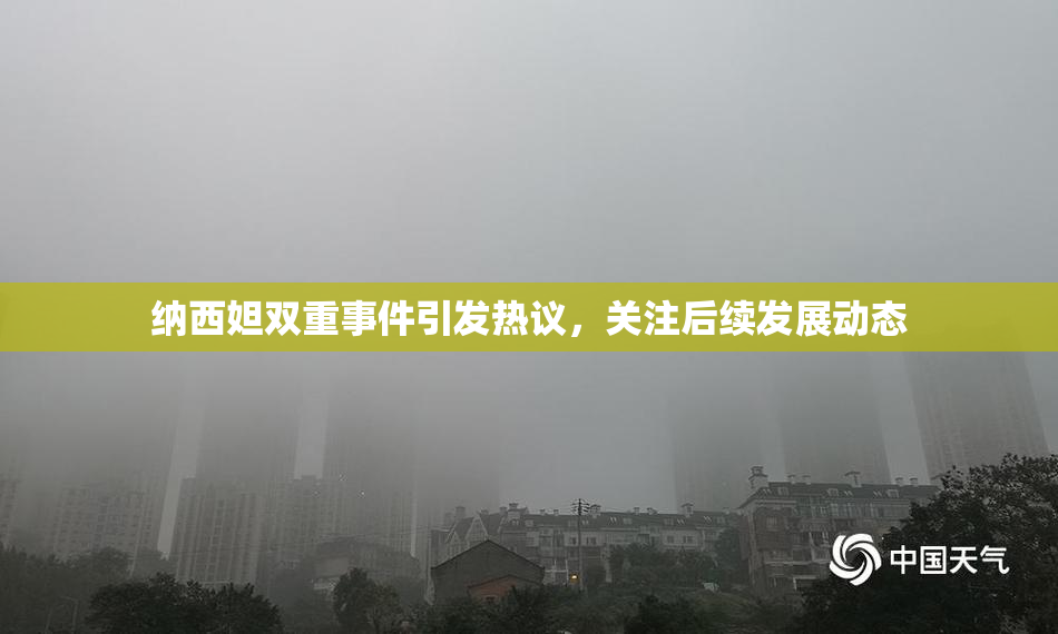 纳西妲双重事件引发热议，关注后续发展动态