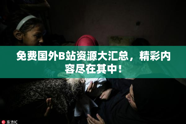 免费国外B站资源大汇总，精彩内容尽在其中！