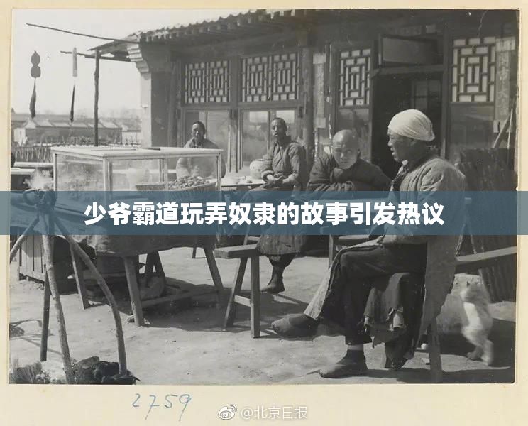少爷霸道玩弄奴隶的故事引发热议