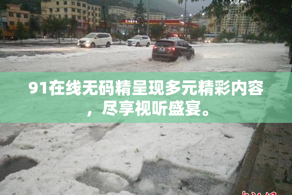 91在线无码精呈现多元精彩内容，尽享视听盛宴。
