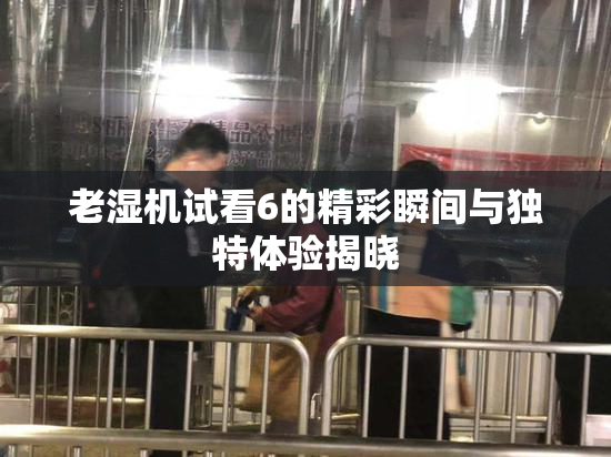 老湿机试看6的精彩瞬间与独特体验揭晓
