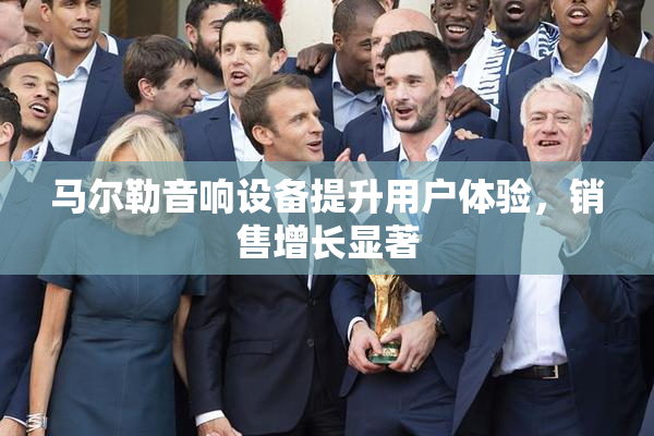 马尔勒音响设备提升用户体验，销售增长显著