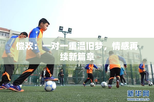 偿欢：一对一重温旧梦，情感再续新篇章