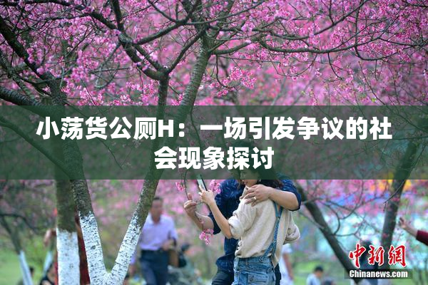 小荡货公厕H：一场引发争议的社会现象探讨