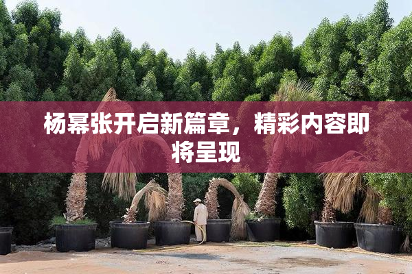 杨幂张开启新篇章，精彩内容即将呈现